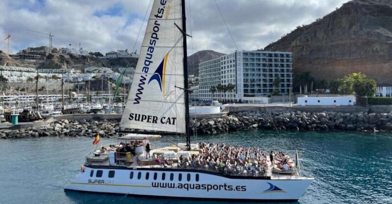 Puerto Rico de Gran Canaria: Premium Dolphin Catamaran Tour - Analyzing the Value