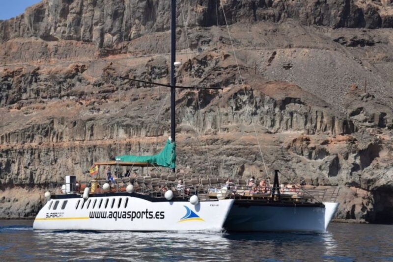 Puerto Rico de Gran Canaria: Premium Dolphin Catamaran Tour - Who This Tour Is Best For