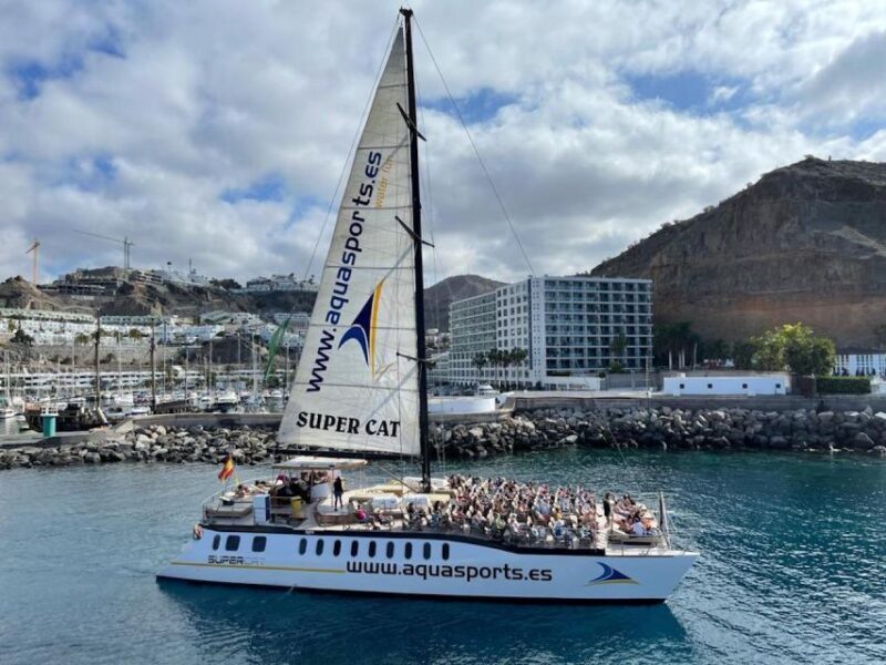 Puerto Rico de Gran Canaria: Premium Dolphin Catamaran Tour - The Sum Up