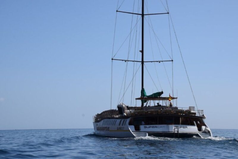 Puerto Rico de Gran Canaria: Premium Dolphin Catamaran Tour - FAQ