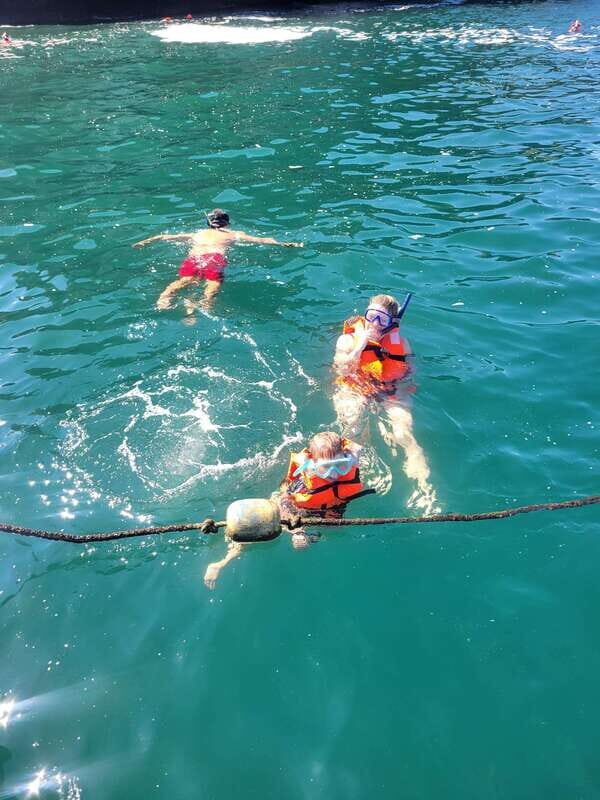 Puerto Vallarta: 3-Hour Whale Watching and Snorkeling - Discovering Puerto Vallarta’s Marine Marvels: A Balanced Adventure