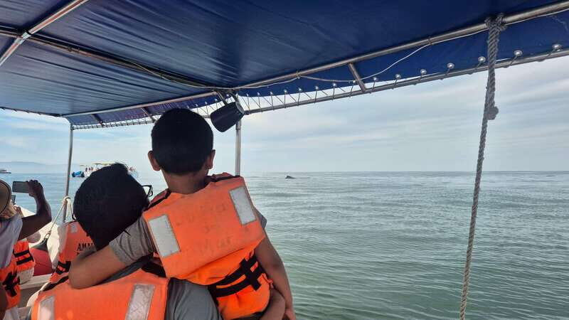 Puerto Vallarta: 3-Hour Whale Watching and Snorkeling - FAQ