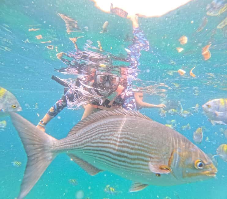 Puerto Vallarta: All-inclusive cruise-ship passenger snorkeling beach and waterfall - Final Thoughts: Is This Tour Worth It?