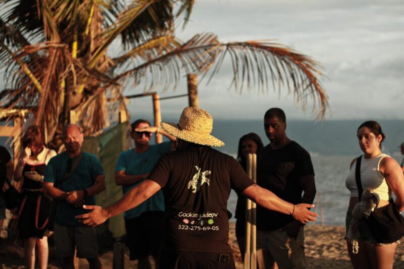 Puerto Vallarta: Baby Turtle Release in Conservation Area - Puerto Vallarta: Baby Turtle Release in Conservation Area