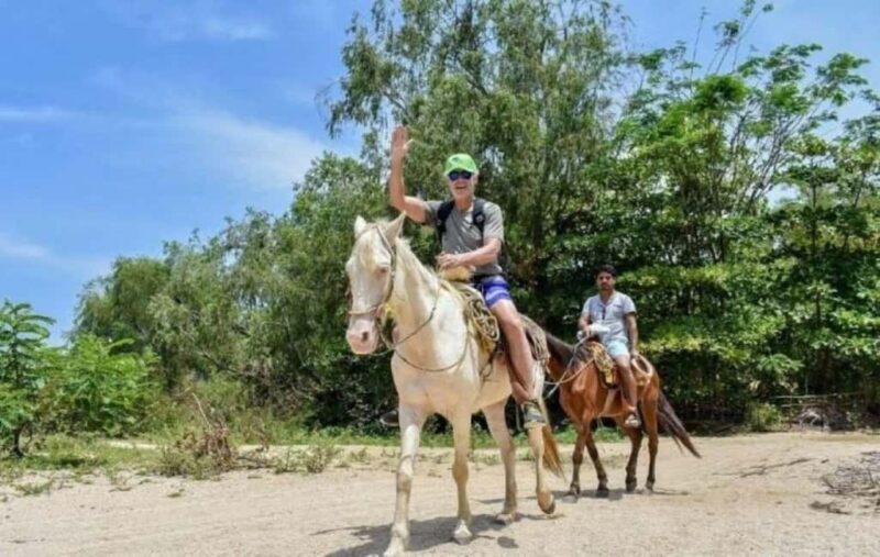 Puerto Vallarta: Beach, Breakfast, Lunch & Open Bar - What the Reviews Say