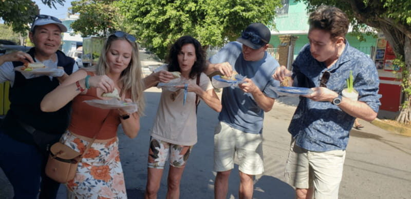 Puerto Vallarta: Beach Tour Experience - Introduction to the Tour