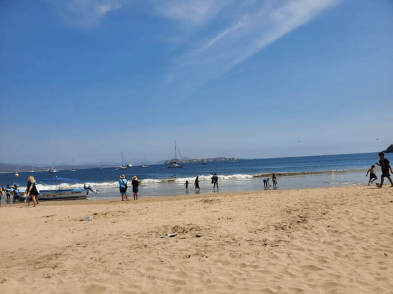 Puerto Vallarta: Beach Tour Experience - Final Thoughts: Who Is This Tour For?