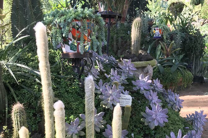 Puerto Vallarta Botanical Garden Tour with University Biologist - Transport, Cost, and Practicalities