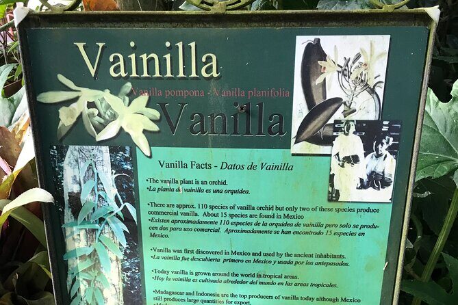 Puerto Vallarta Botanical Garden Tour with University Biologist - Who Should Consider This Tour?