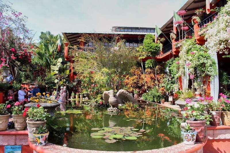 Puerto Vallarta: Botanical Gardens, Distillery & Coffee Tour - A Deep Dive into the Tour Experience