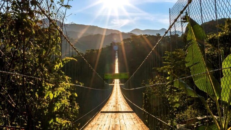 Puerto Vallarta: Canopy River + Jorullo Bridge Pass - Who Will Love This Tour?
