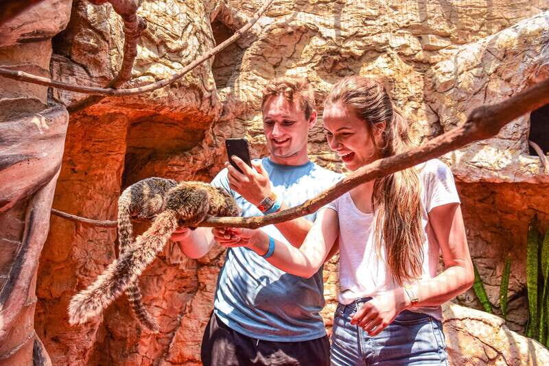 Puerto Vallarta: Canopy Tour with Zipline and Speedboat Ride - FAQ