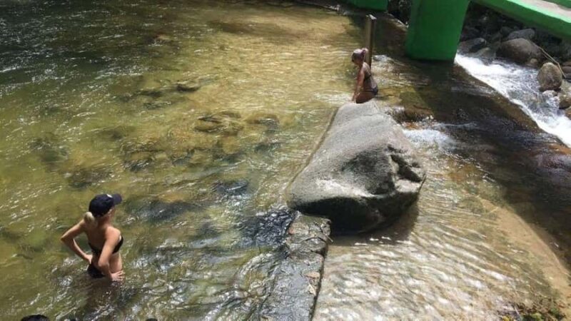 Puerto Vallarta: City & Jungle Tour - The Value of the Experience