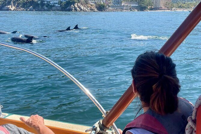Puerto Vallarta City Tour By The Sea aboard Bruna - Practical Details and Tips