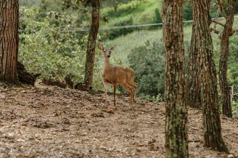 Puerto Vallarta: Day Pass to Jorullo Paradise Adventure - FAQ