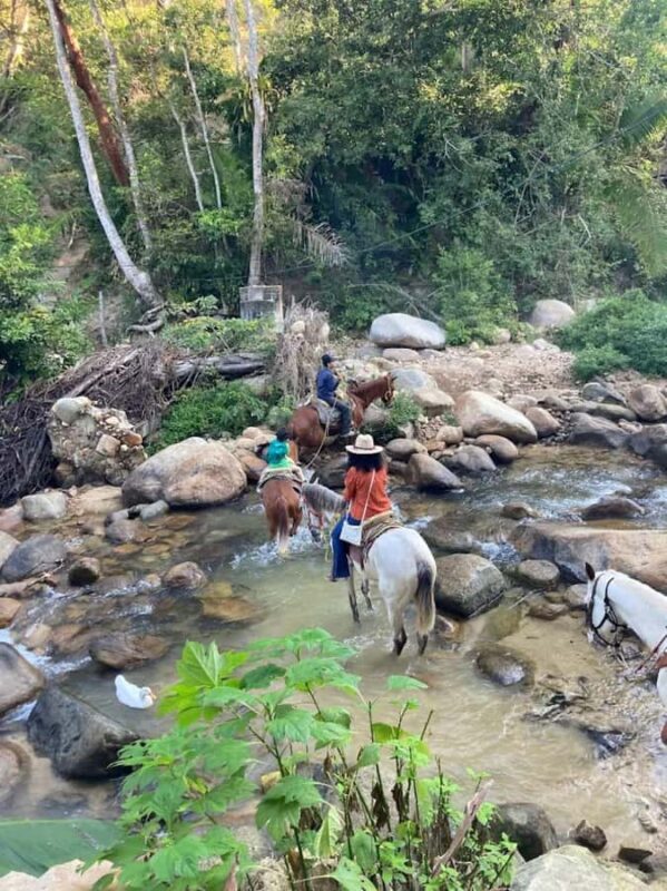 Puerto Vallarta: El Eden Horseback Riding - Key Points