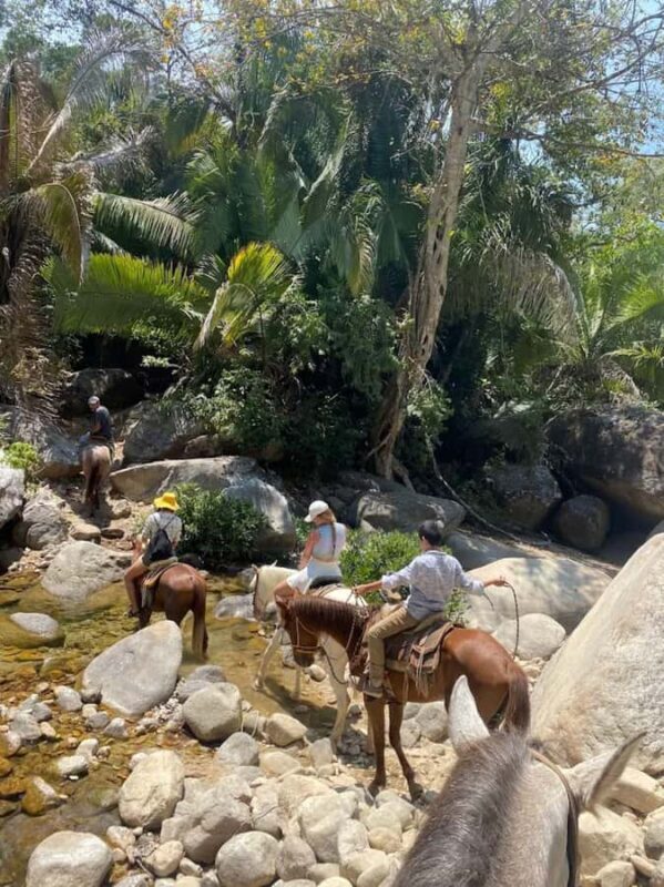 Puerto Vallarta: El Eden Horseback Riding - Exploring the Itinerary and Its Unique Draws