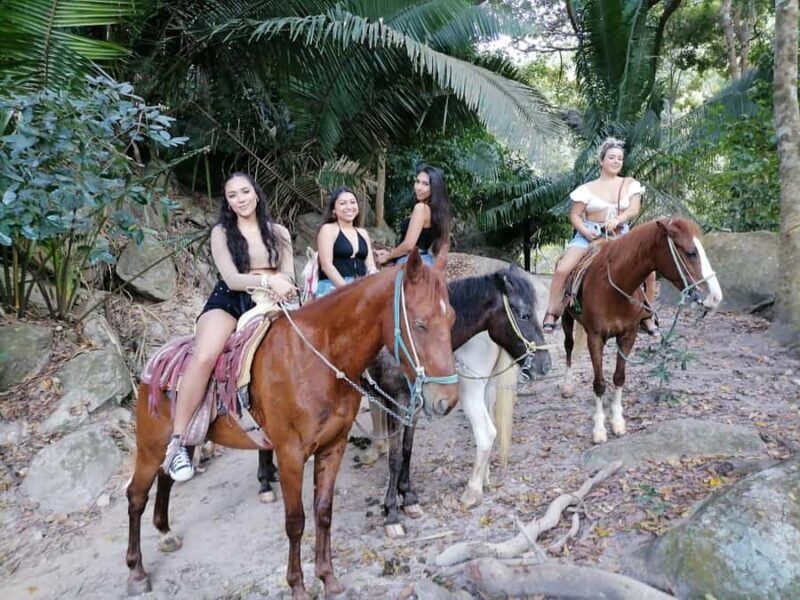 Puerto Vallarta: El Eden Horseback Riding - The Experience from a Traveler’s Perspective