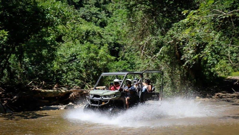 Puerto Vallarta: Explore the Rio Cuale on a Buggy Adventure - Authenticity and Value: Why It Works