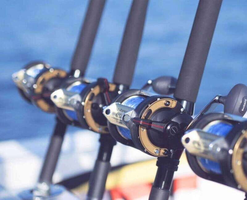 Puerto Vallarta: Fishing Cachi I 28 - Analyzing the Value of the Tour