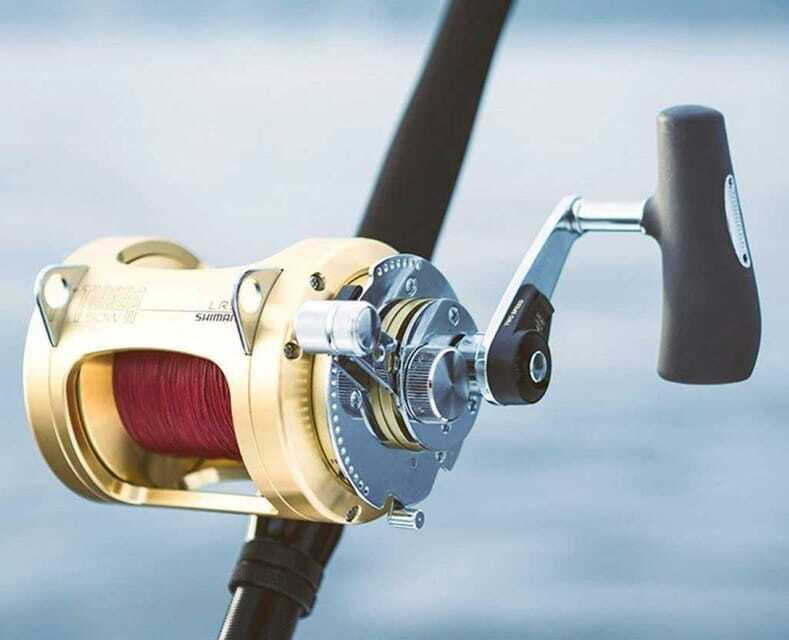 Puerto Vallarta: Fishing Cachi I 28 - The Sum Up