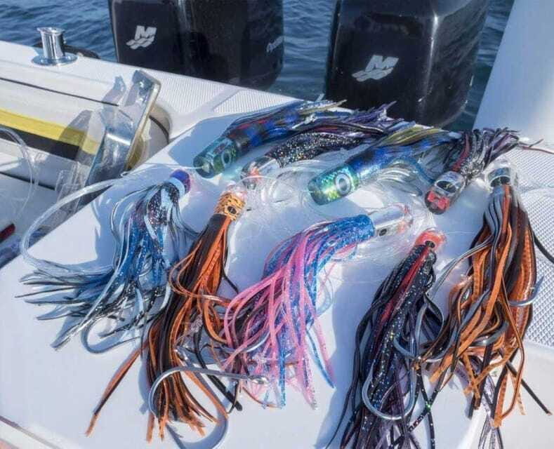 Puerto Vallarta: Fishing Lucky I 28 - Price and Value Analysis