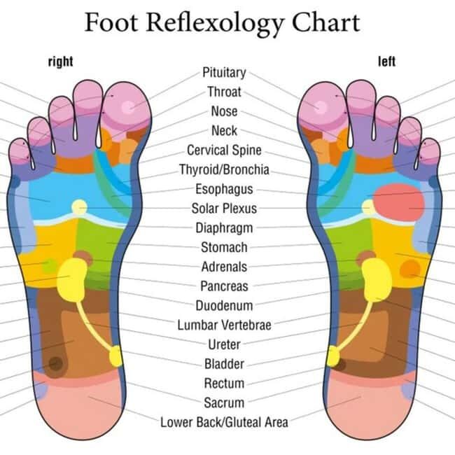 Puerto Vallarta: Foot Reflexology and Tired Legs Massage - What Is This Tour All About?