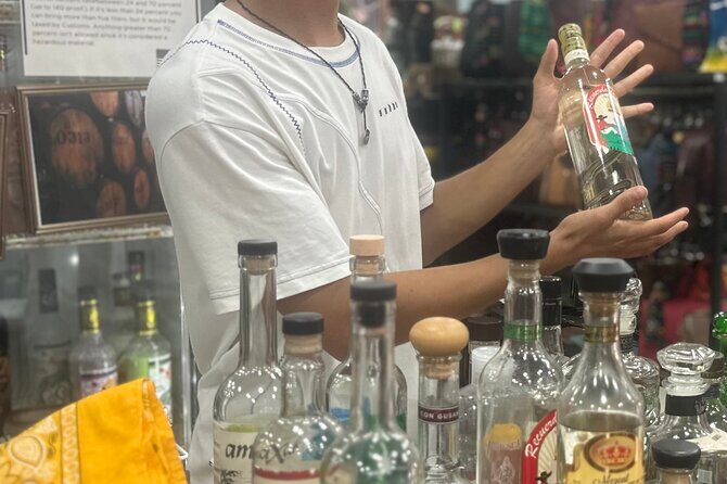 Puerto Vallarta Gay Romantic Zone Indepth Tour - Key Points