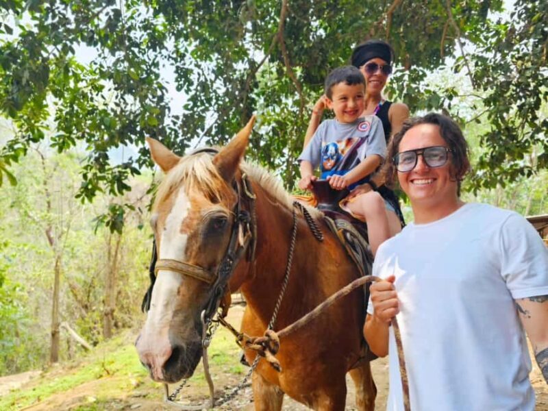 Puerto Vallarta: Hands-on Farm Experience from Cow to Cheese - Key Points