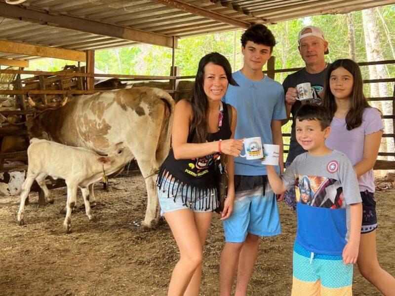 Puerto Vallarta: Hands-on Farm Experience from Cow to Cheese - A Truly Different Side of Puerto Vallarta