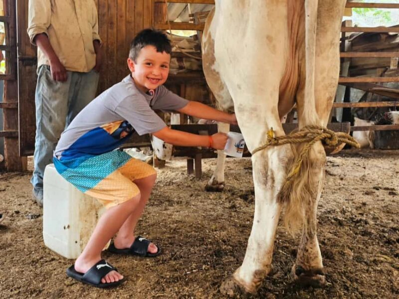 Puerto Vallarta: Hands-on Farm Experience from Cow to Cheese - The Experience’s Highlights and Authentic Touches