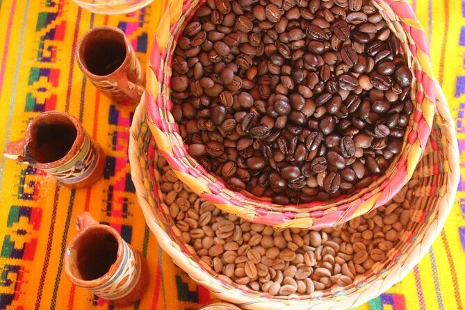 Puerto Vallarta History and Culture with Flavors Discovery - Final Thoughts: Is It Worth It?