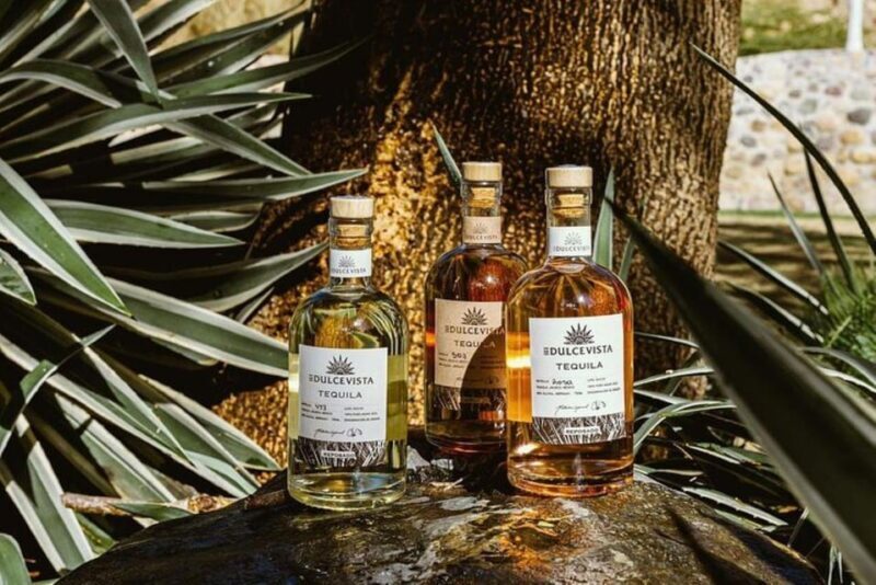 Puerto Vallarta: Horseback Riding, Lunch & Unlimited Drinks - Frequently Asked Questions