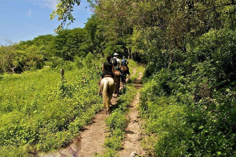 Puerto Vallarta Horseback Riding - Final Thoughts