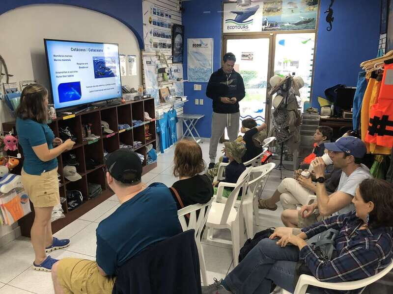 Puerto Vallarta: Humpback Whale Research Adventure Tour - An In-Depth Look at the Experience