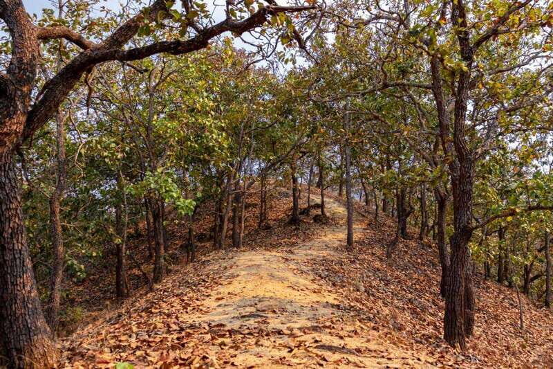 Puerto Vallarta: Jorullo Paradise Hiking Adventure - Key Points