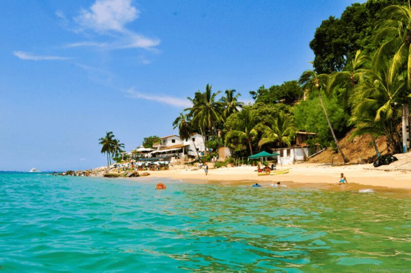 Puerto Vallarta: Los Arcos, Ánimas, and Quimixto Boat Tour - What’s Included and What’s Not