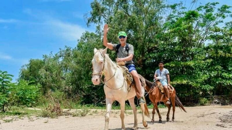 Puerto Vallarta: Los Arcos Snorkeling & Las Animas Cruise - Final Thoughts: Who Will Love This Tour?