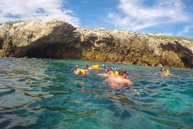 Puerto Vallarta: Marietas Islands with Open Bar and Food - Final Thoughts: Who Is This Tour Best For?