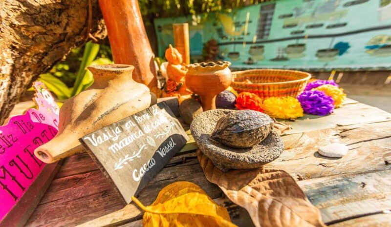 Puerto Vallarta: Mexican Cooking Class, Pueblos, & Food Tour - An In-Depth Look at the Tour Experience