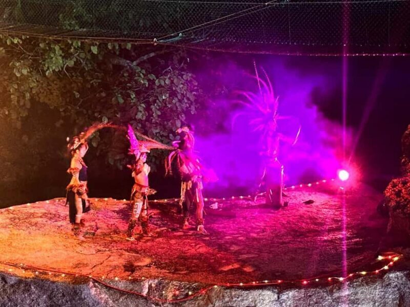 Puerto Vallarta: Night Zipline, Dinner, & Show with Pickup - The Practicalities: What to Know Before You Go