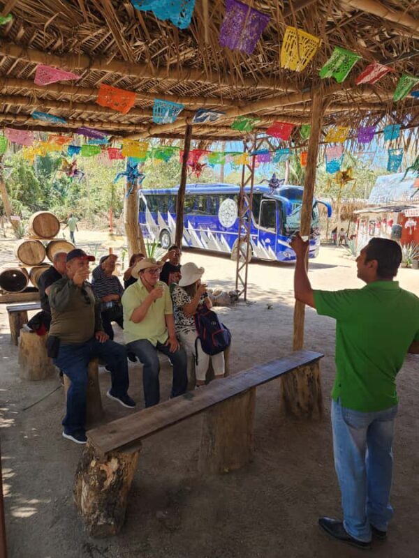 Puerto Vallarta: Oceanfront Lunch, Hike, Tequila & Beach Day - The Hike to the Coast and Beachside Lunch