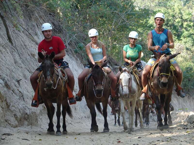 Puerto Vallarta: Outdoor Ziplines and Rappel Adventure - Logistics and Practical Considerations