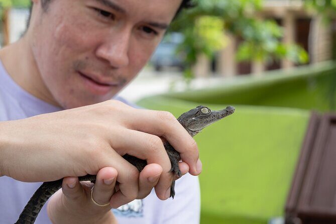 Puerto Vallarta Photoshoot with Professional Photographer - Final Thoughts
