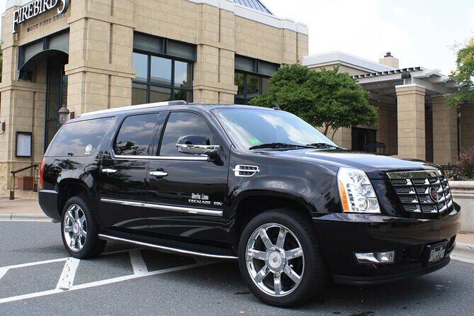 Puerto Vallarta Port to Puerto Vallarta RoundTripPrivate Transfer - Who Should Consider This?