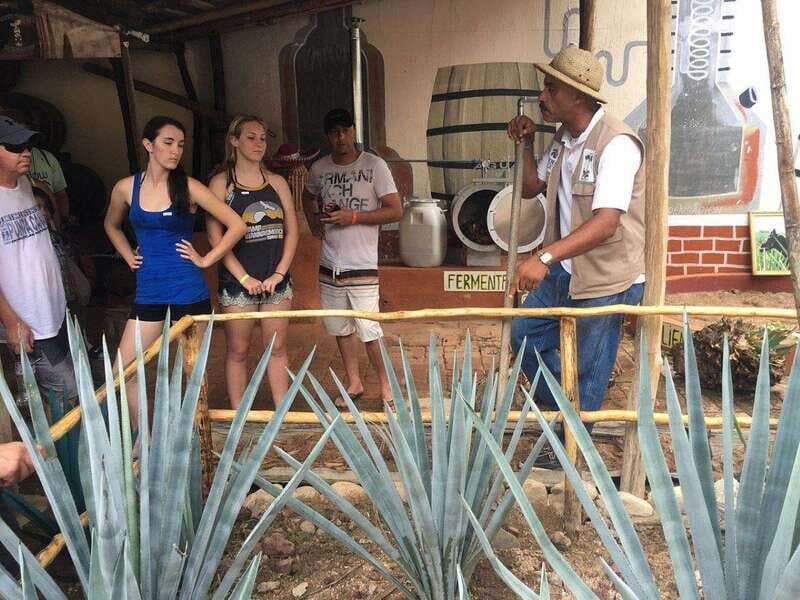 Puerto Vallarta: Predator ATV & Tequila Tour - Key Points