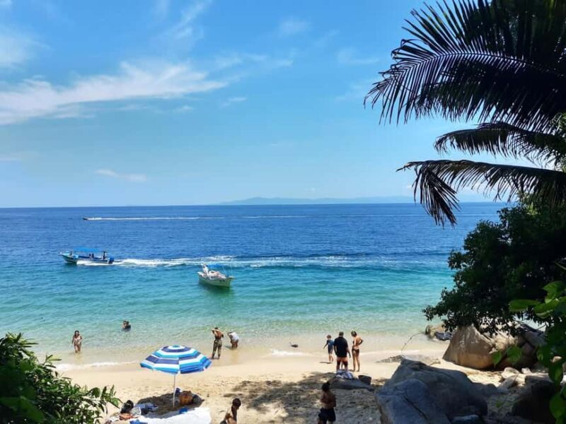 Puerto Vallarta: Private Colomitos & Madagascar Beaches Tour - Discovering the Hidden Gems of Puerto Vallarta