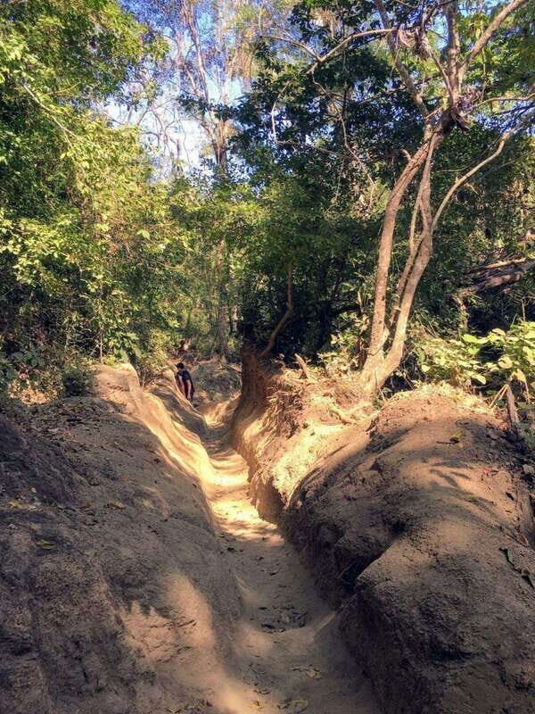 Puerto Vallarta: Private Tour Hiking Quimixto Waterfall - Discover the Natural Charm of Puerto Vallarta