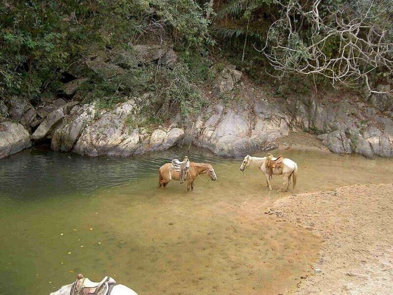 Puerto Vallarta: Private Tour Hiking Quimixto Waterfall - Snorkeling and Refreshments