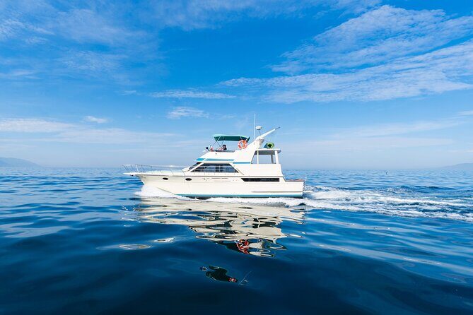 Puerto Vallarta Private Yacht: Half Day Tour (4h) - Who Will Love This Tour?